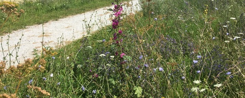 Aagtenpark