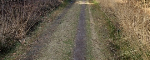 Amerongse Bos