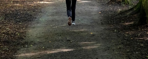 Amsterdamse Bos