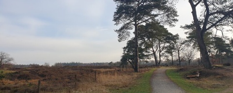 Bakkeveense Duinen