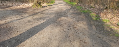 Bennekomse Bos / Oostereng