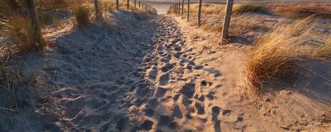 Bergen aan Zee