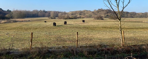 Berkheide