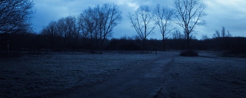 Bomenpark