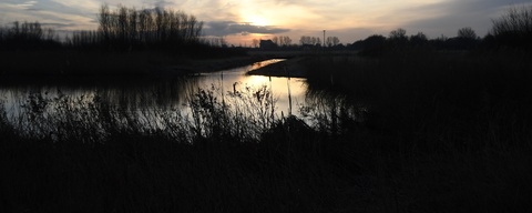 Boseilanden