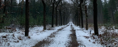 Boswachterij Austerlitz