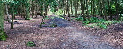 Boswachterij Dorst - Dongense Heining