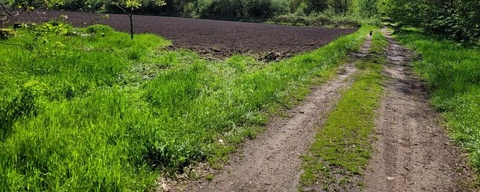 Boswachterij Exloo