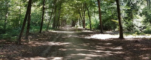 Boswachterij Groesbeek