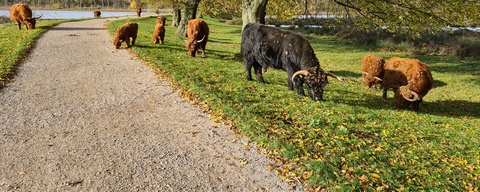 Broekpolder