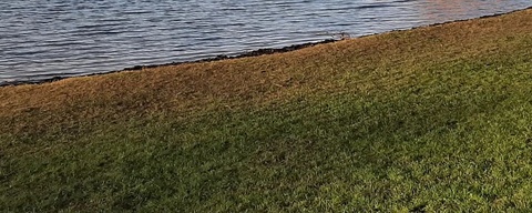 Bronsbergenmeer