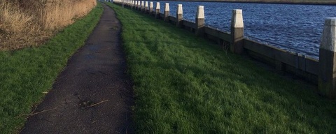 Burstumerdyk