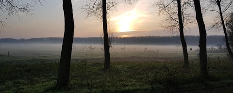 De Balij / Balijbos