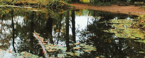 De Keijenberg/Renkums Beekdal 