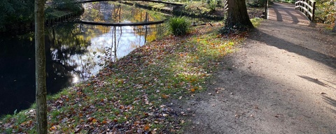 De Paauw