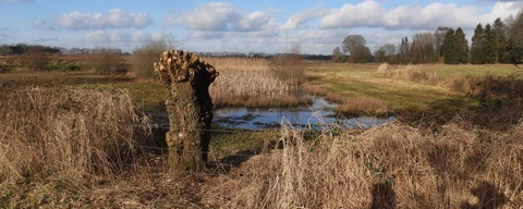 De Regte Heide