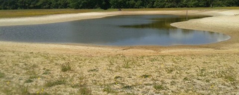 Drents Friese Wold - Zuid