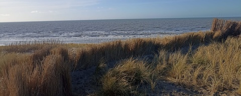 Duingebied Egmond aan Zee