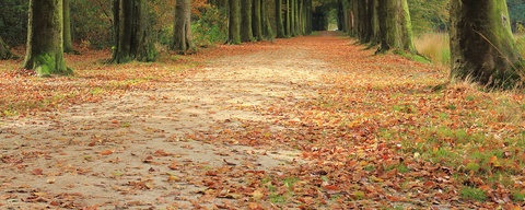 Elfbergen