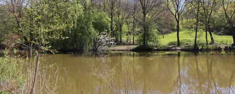 Elsenburgerbos
