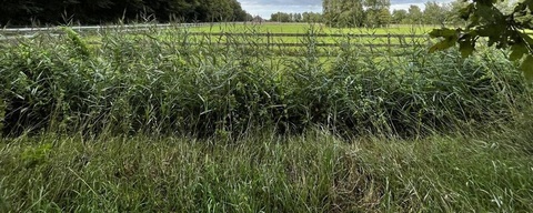 Engbert Drenthbos / Westerwolde