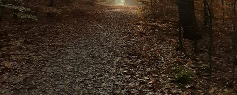 Ermelose Bos / Haspelberg
