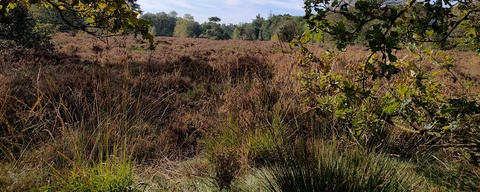 Gietenerveld