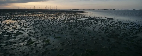 Grevelingendam