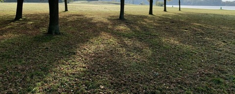 Groene Heuvels