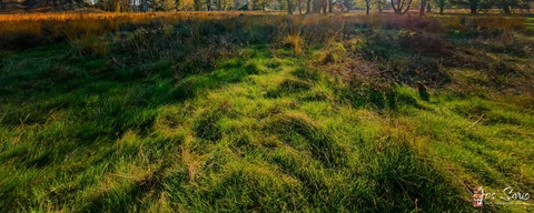 Groote Heide