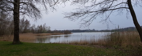 Heeresveld