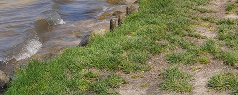 Hemmeland