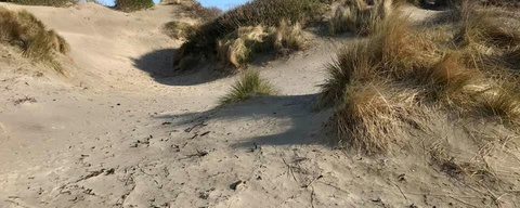 Hoek van Holland