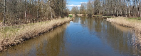 Hoge Bergse Bos