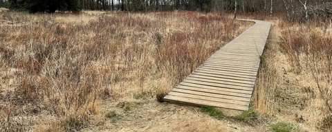 Hondenlosloopgebied Natuurpoort Eersel//Ter Spegelt te Eersel