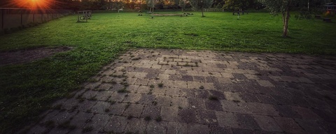 Hondenspeeltuin Assen-oost
