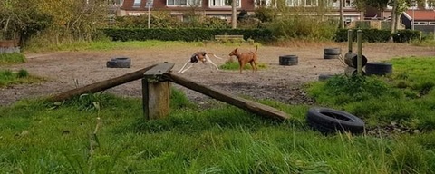 Hondenspeeltuin Het Smulbos