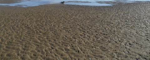 Hondenstrand (Autostrand)