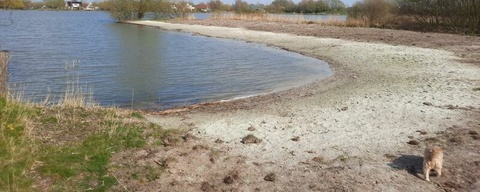 Hondenstrand Grote Rietplas