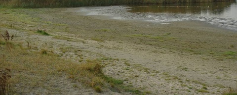 Hondenstrandje Lauwersmeer