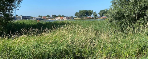 Hooge Nesse/ Veerplaat