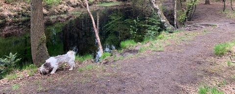 Hooge Vuursche