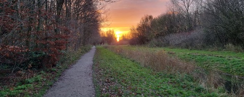 Horsterpark