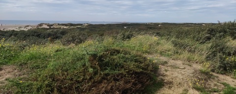 IJmuiderslag