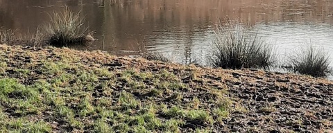 IJsselbos / Hoge Land