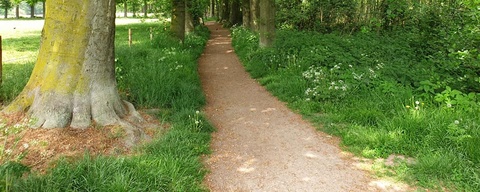 Kasteel Hernen