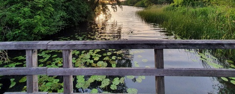 Kleine Plas