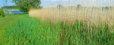 Klinkenbergerplas