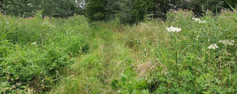 Kollumerwaard