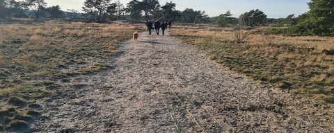 Kootwijkerduin